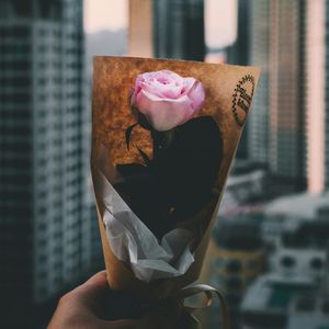 唯一的偏爱（温柔男声版）