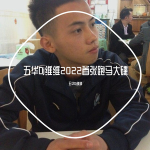 五华Dj维维-五华Dj维维2022首张跑马大碟（五华Dj维维 remix）