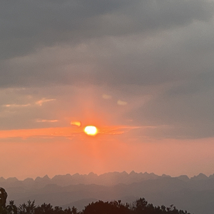 言不由衷说不想你