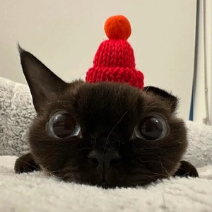 想你的沙漏该见底了