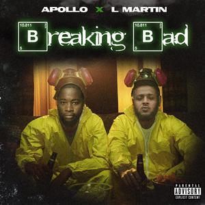 Breaking Bad (feat. L Martin)