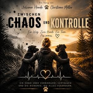 Zwischen Chaos und Kontrolle