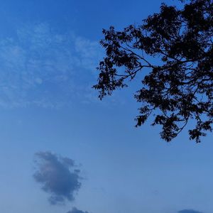 Whispers of the Moonlight1