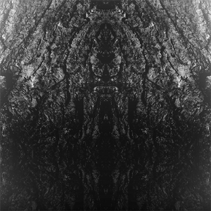 All Black Everything