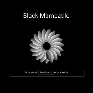 Black Mampatile