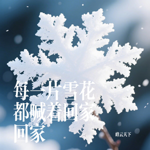 每一片雪花都喊着回家回家