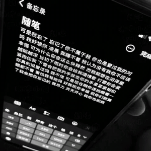 日记里的无解题