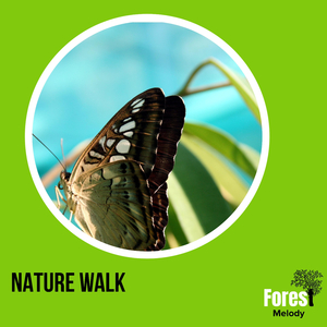 Rain after Math at Cave Entrance