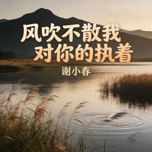 风吹不散我对你的执着