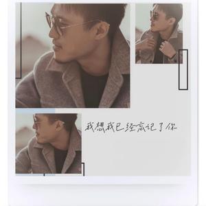 我想我已经忘记了你