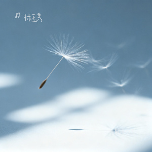 情深误流年
