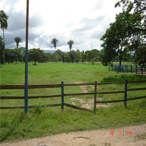 Agua Verde