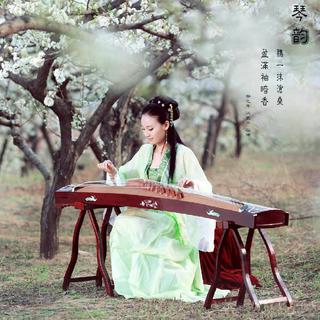 中华文化｜博大精深｜民族乐器