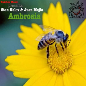 Ambrosia (Original Mix)