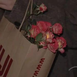 我想对你做春天对樱桃树做的事