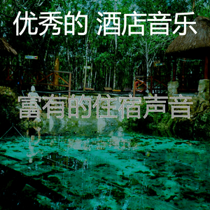 微妙的豪华饭店心情