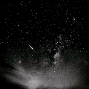 思念雨季的潮湿泥泞