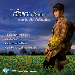 อยากเป็นแฟนเธอแทนเขา