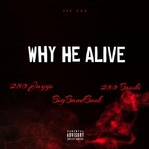 WHY HE ALIVE (feat. 250 Broski & BigBandBook)