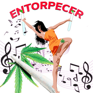 Entorpecer