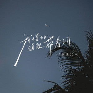 我懂的道理带着泪（好像这心酸总在夜里翻倍）