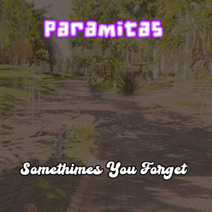 Somethimes You Forget