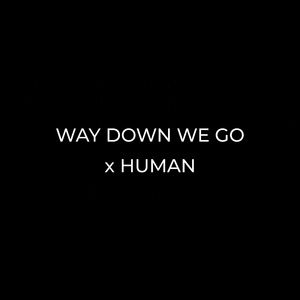 Way Down We Go x Human