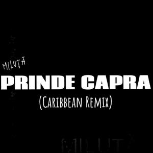 Prinde Capra (Caribbean Remix)