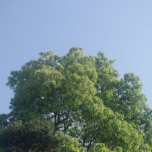 那碗鸡蛋面