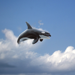 这一生关于你的风景