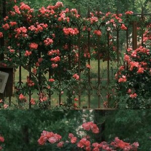 我像每个大雪纷飞的季节一样爱你