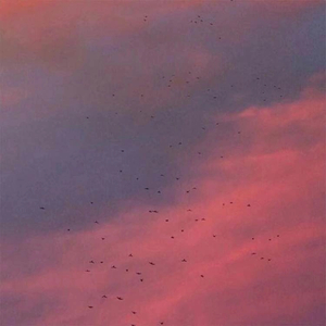 样（翻自 tfboys）（Cover tfboys）