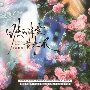 四点的海棠花未眠（DJ节奏版）