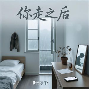 你走之后