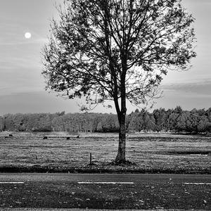 Aufgestanden (Special Version)