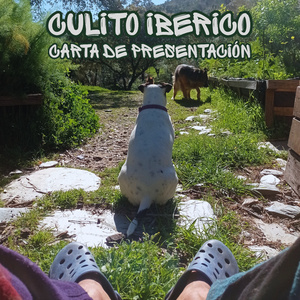 Recuerdos