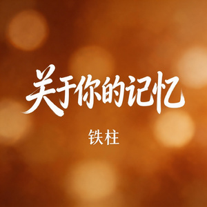 关于你的记忆