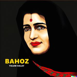 Kürtçe Halay Hareketli Tulum