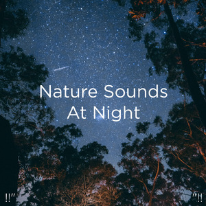 수면을위한 바다의 소리