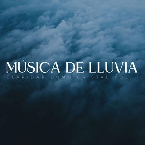 Lluvia Soplada Por El Viento