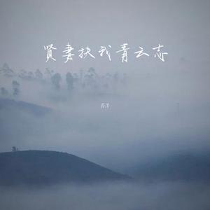 贤妻扶我青云志