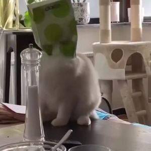 6AM freestyle（Prod.Toryonthebeat）