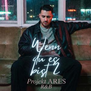Wenn du es bist 2 (Radio Edit)