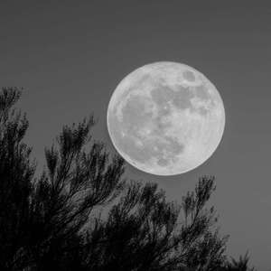 爱本是两难-迷（爱本是两难 remix）