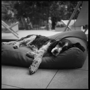 Vier (feat. Timon Ott)