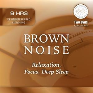 Brown Noise Dream Recall