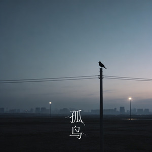 孤鸟