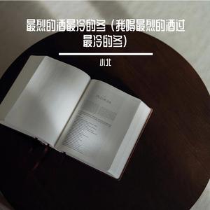 最烈的酒最冷的冬 (我喝最烈的酒过最冷的冬)