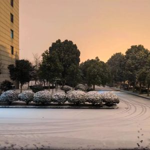 大鱼（Cover周深）