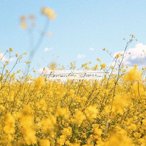 Sunshine Of The Snow